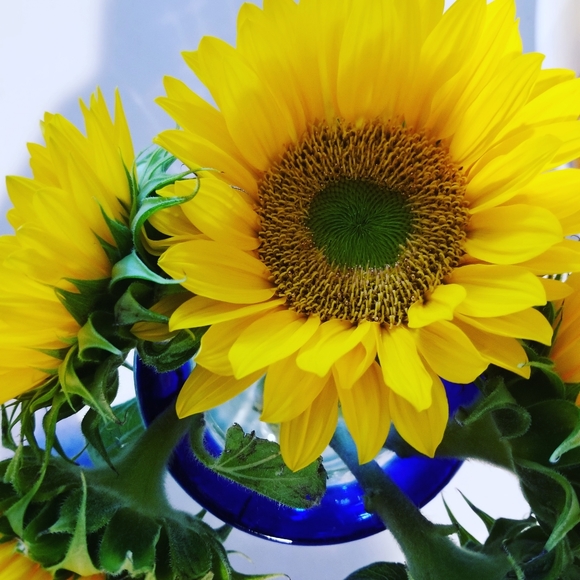 Meet your Posher - Picture 14 of 16